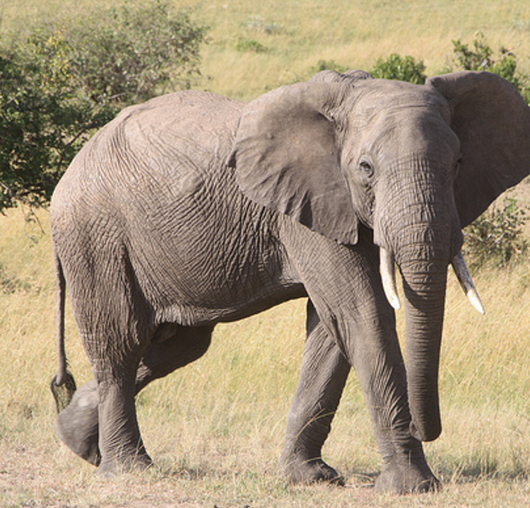 Inflation: Update 2021